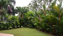Raffles Park (D11), Detached #461165361